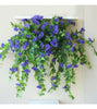FlowerGlow™ – Ever-flowering Morning Glory for Elegant Indoor and Outdoor use