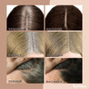 1+1 Free | BlenderEase™ – Hairline Filler & Hairline Correction