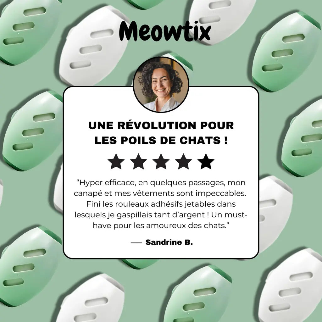 MeowStick™ – Reusable lint roller