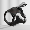DogLiberty™ - Freedom at the end of the leash