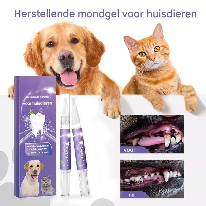 1+1 Free | OralShine™ – Dental Care Gel for Pets