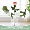 3+3 Free | PlantFriends™ – Decorative Plant supports for Healthy Growth