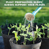 3+3 Free | PlantFriends™ – Decorative Plant supports for Healthy Growth