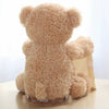 PlushyBoo™ – Peek-a-Boo Teddy Bear Toy