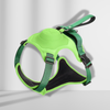 DogLiberty™ - Freedom at the end of the leash