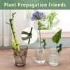 3+3 Free | PlantFriends™ – Decorative Plant supports for Healthy Growth