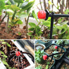 SprinkleFun™ – Adjustable Drip Irrigation System for healthy plants