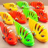 1+1 Free | WiggleFish™ - Wind-up Wiggle Toy