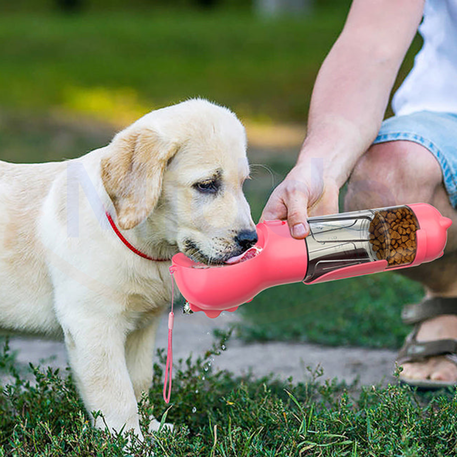PuppyWander™ – 4-in-1 Portable bottle for Pets