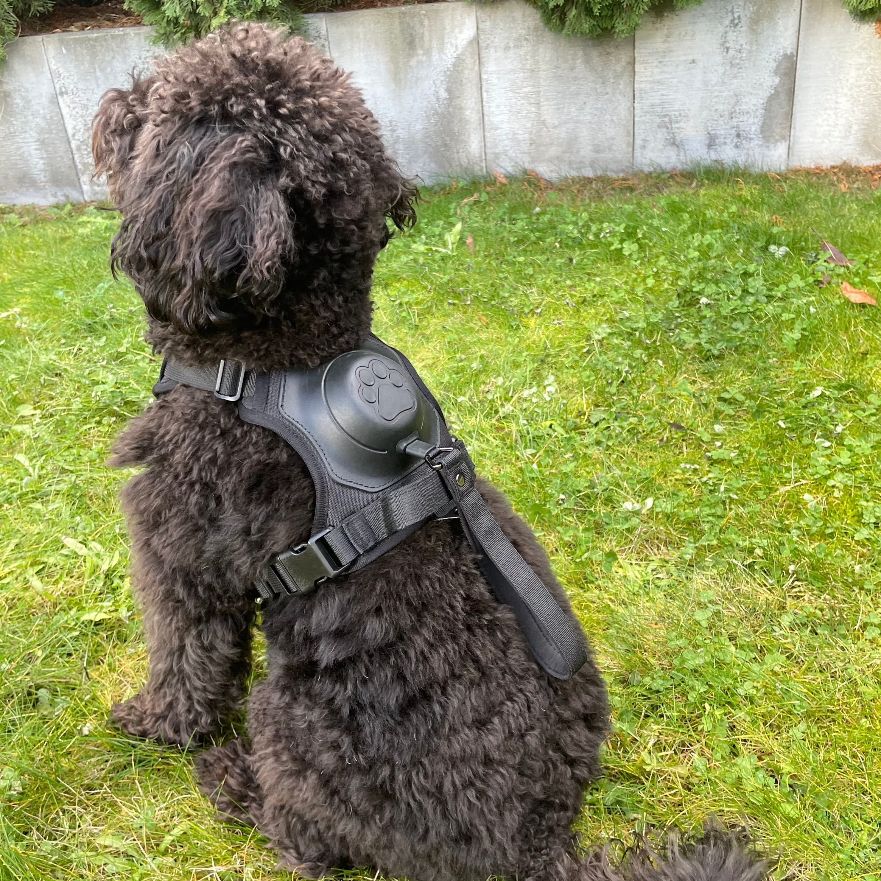 DogLiberty™ - Freedom at the end of the leash