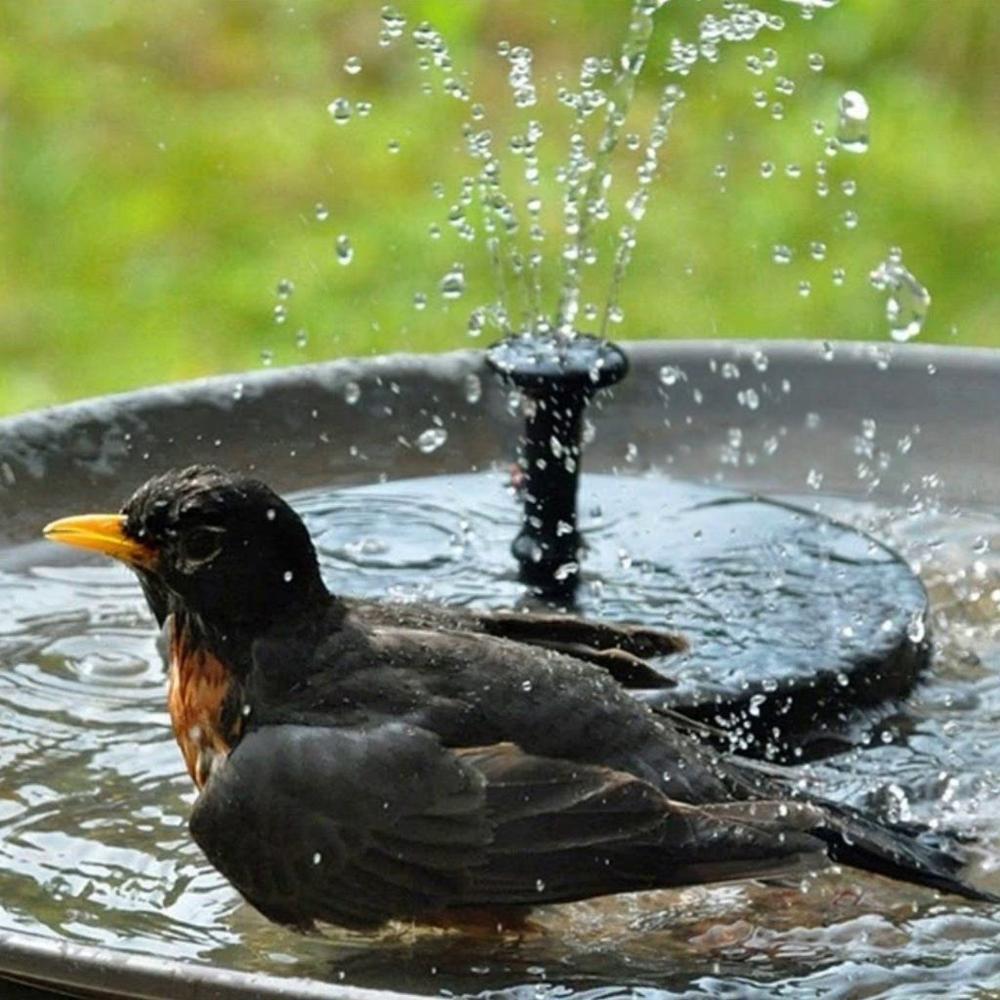 SolarWater™ – Solar-Powered Fountain
