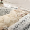 PawsSnuggy™ – Calming Pet bed