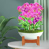 Bloomski™ – 3D Pop-up Bouquets