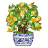 Bloomski™ – 3D Pop-up Bouquets