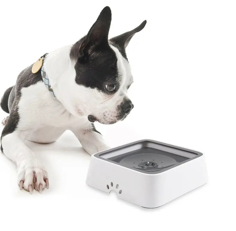 FountainFun™ – Splash-free Water dispenser for Pets