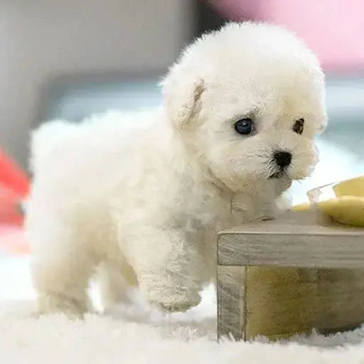 RoboPuppy™ – All the fun of a puppy, without the mess