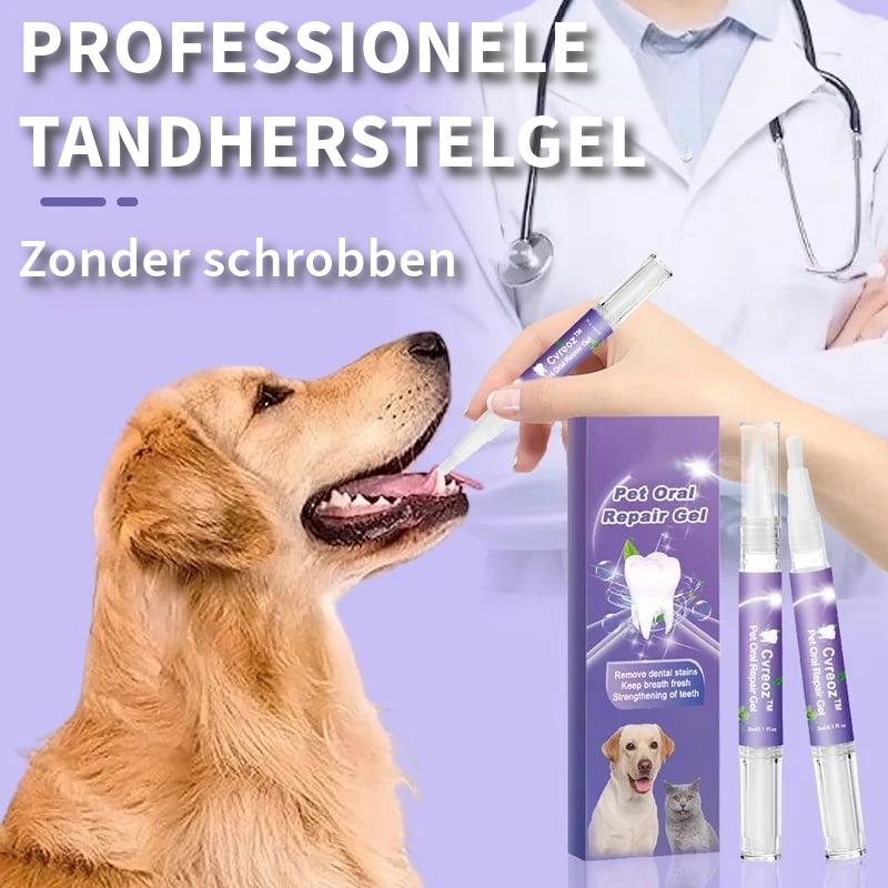 ToothSet™ – Dental Care for Pets