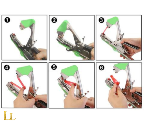PlantGroup™ – Quick and Easy tool for Binding plants