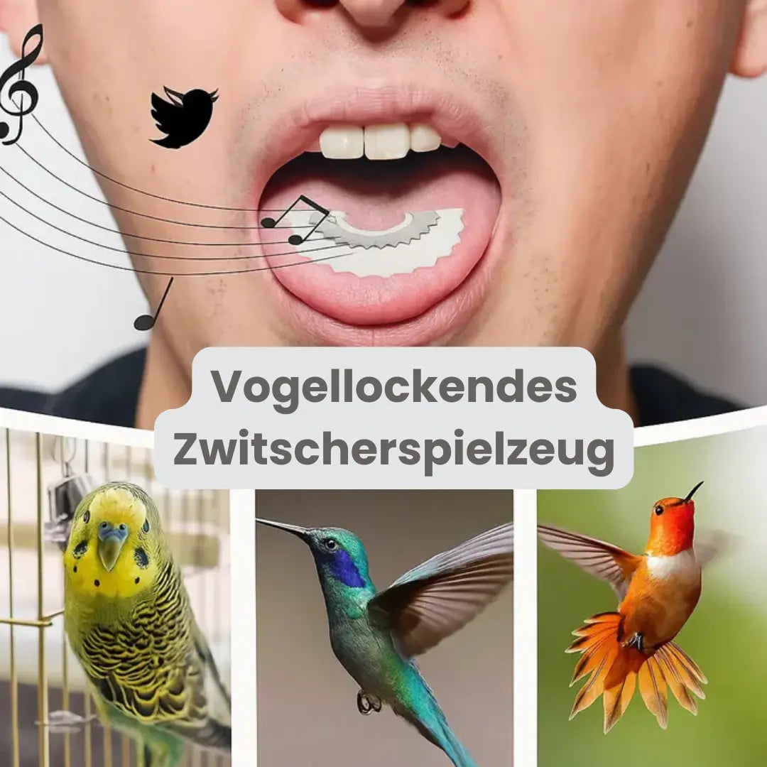 1+1 Free | BirdWhistle™ – Chirping Garden Toy