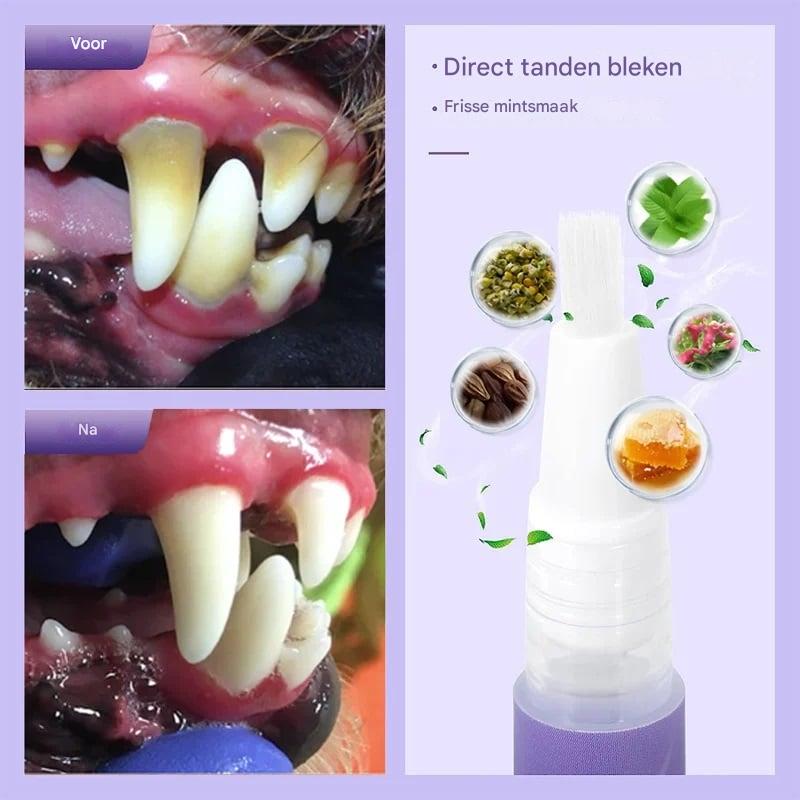1+1 Free | OralShine™ – Dental Care Gel for Pets