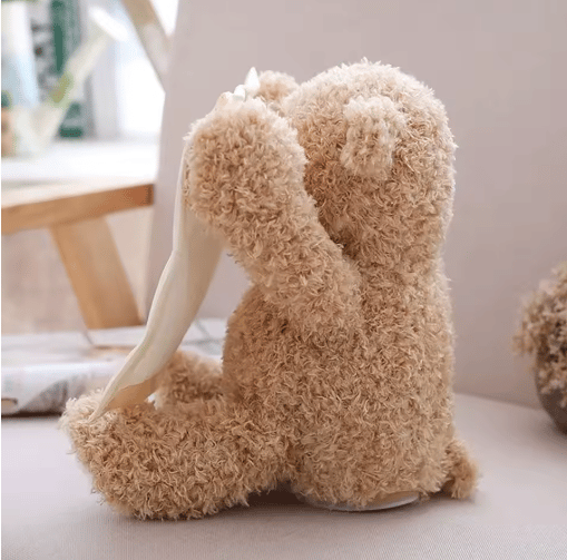 PlushyBoo™ – Peek-a-Boo Teddy Bear Toy