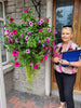 FlowerGlow™ – Ever-flowering Morning Glory for Elegant Indoor and Outdoor use