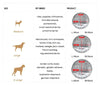 PawsSnuggy™ – Calming Pet bed