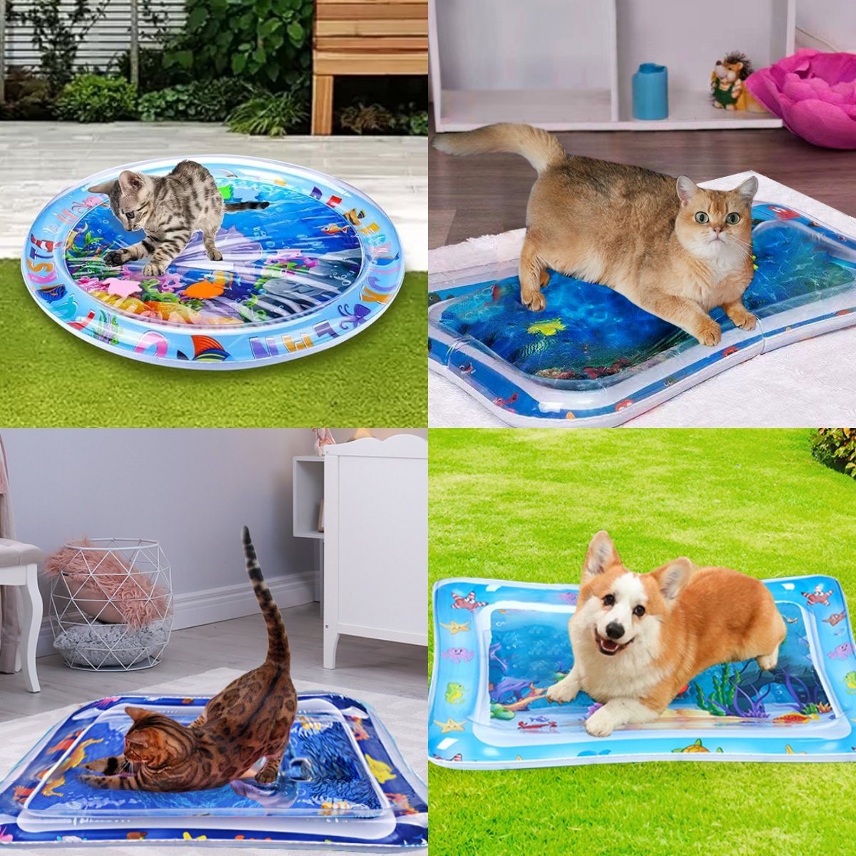 PuddlePlay™ – Cooling Sensory water mat for Cats