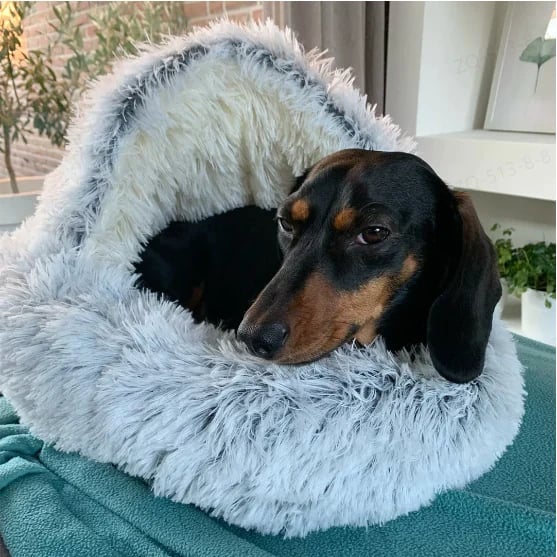 PawsSnuggy™ – Calming Pet bed