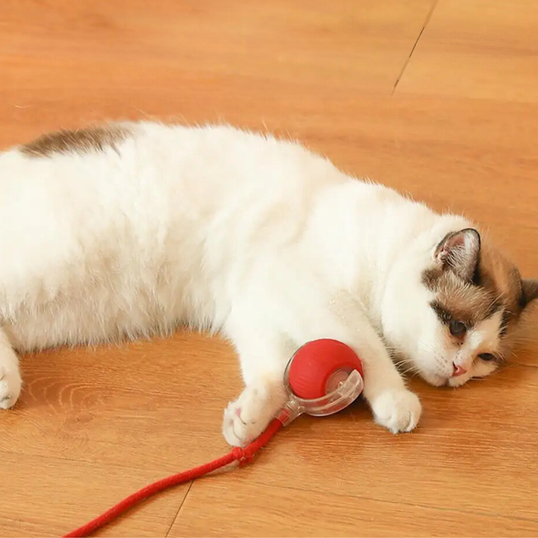 TwirlerKitty™ – Interactive Cat Toy Ball