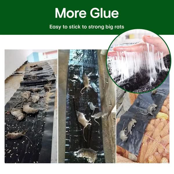 1+1 Free | StickyRat™ – Extra Large Humane Adhesive Trap for Rodents