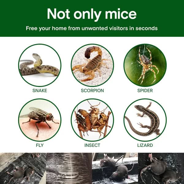 1+1 Free | StickyRat™ – Extra Large Humane Adhesive Trap for Rodents