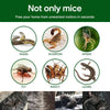 1+1 Free | StickyRat™ – Extra Large Humane Adhesive Trap for Rodents