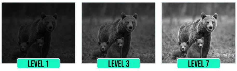 Dark-Force-Night-Vision-How-To-Start